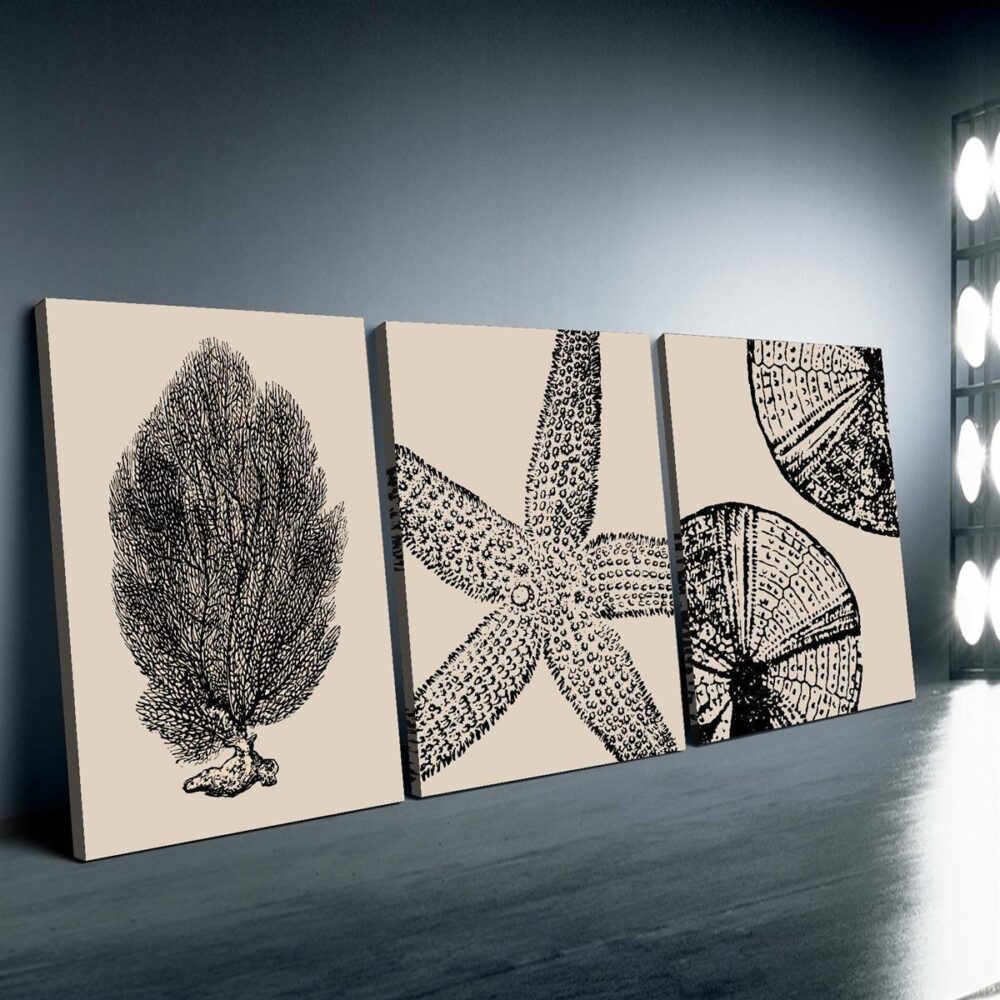 3pcs Wrapped Frame Canvas Wall Art – Bohemian Beach, Modern Abstract Starfish & Beach Cottage - Image 4
