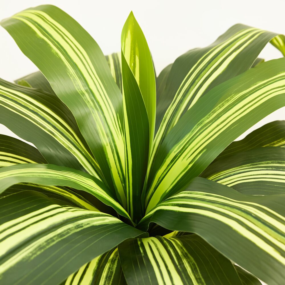 5FT/6FT UV-Resistant Artificial Dracaena Tree – Realistic Faux Plant with Planter & Decorative Rocks - Image 6
