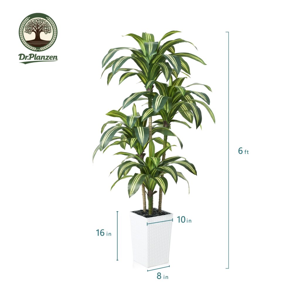5FT/6FT UV-Resistant Artificial Dracaena Tree – Realistic Faux Plant with Planter & Decorative Rocks - Image 11