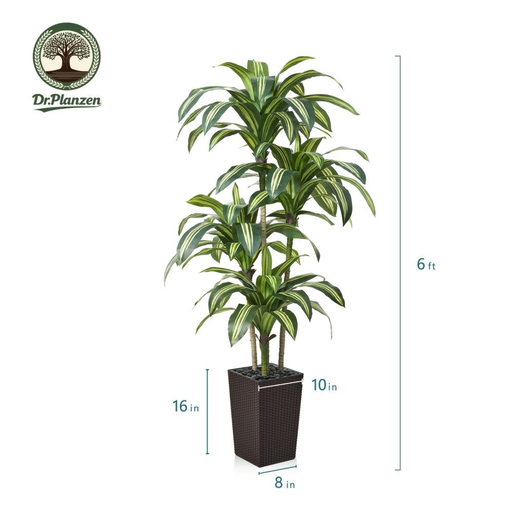 5FT/6FT UV-Resistant Artificial Dracaena Tree – Realistic Faux Plant with Planter & Decorative Rocks - Image 12